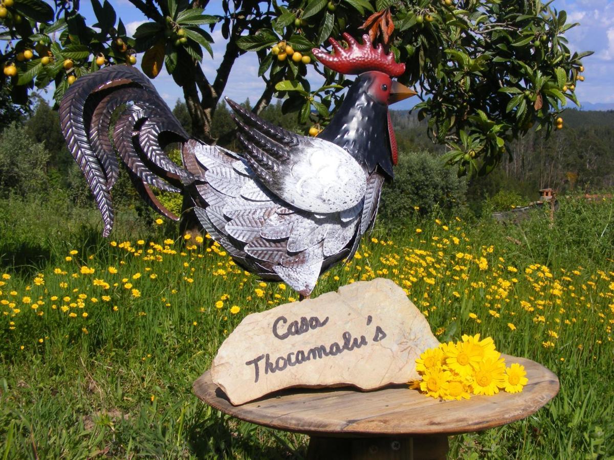 דירות Covelo  Casa Thocamalu'S מראה חיצוני תמונה